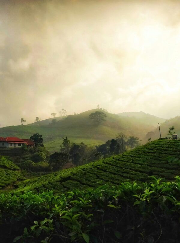 spiritual journey in south india and ayurvedic cure in Kerala